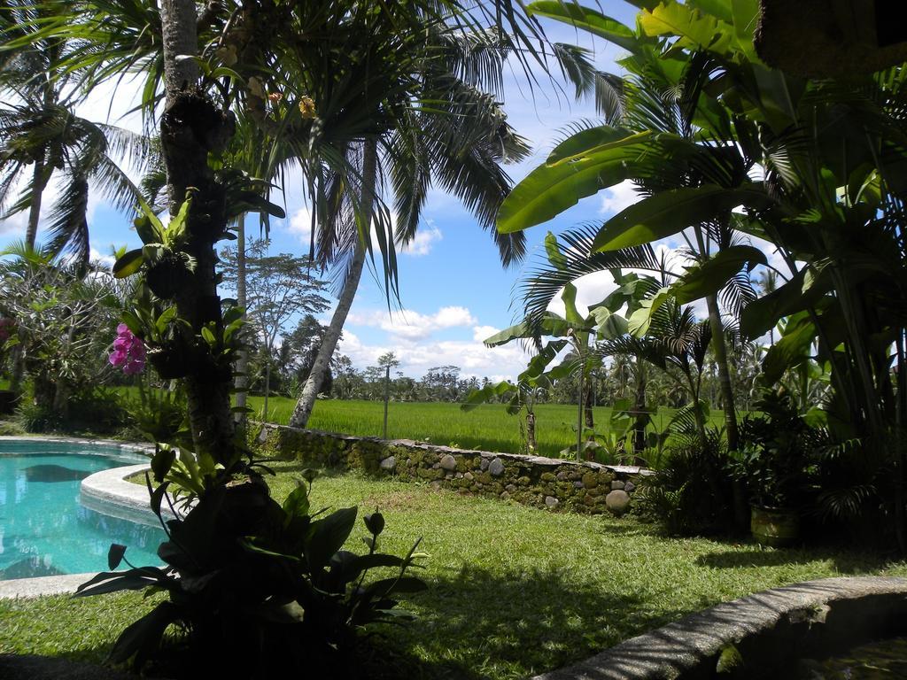 Saudara Home Ubud エクステリア 写真