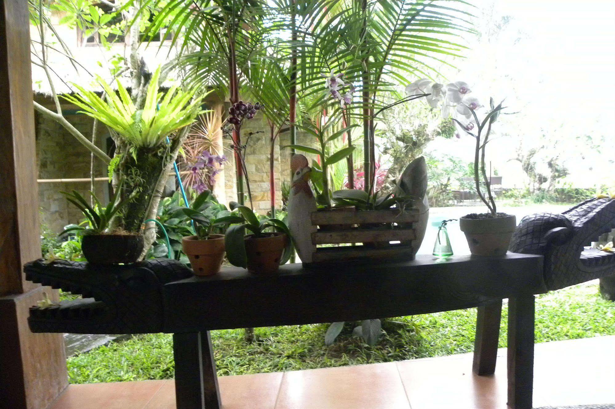 Saudara Home Ubud エクステリア 写真