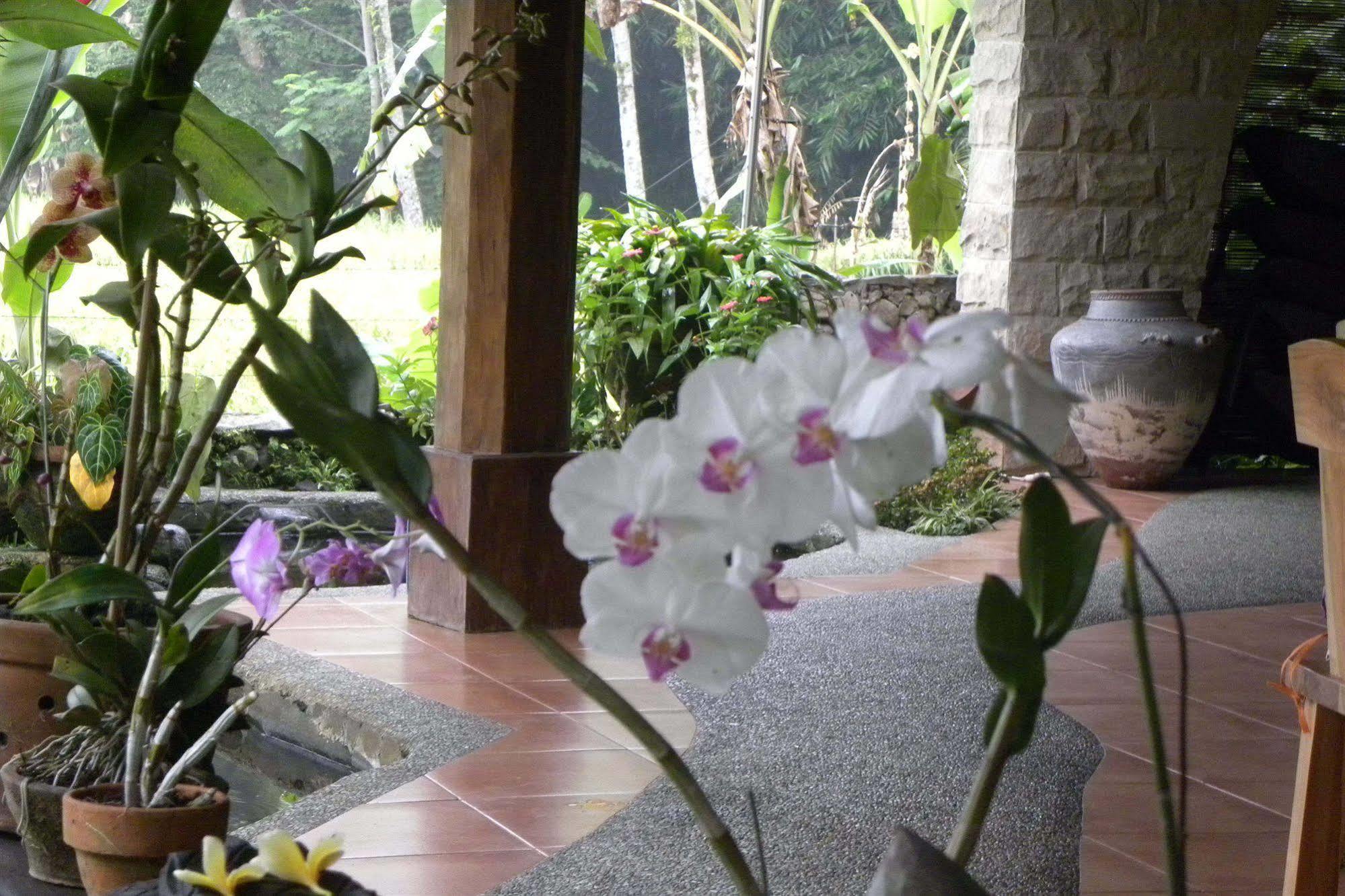 Saudara Home Ubud エクステリア 写真